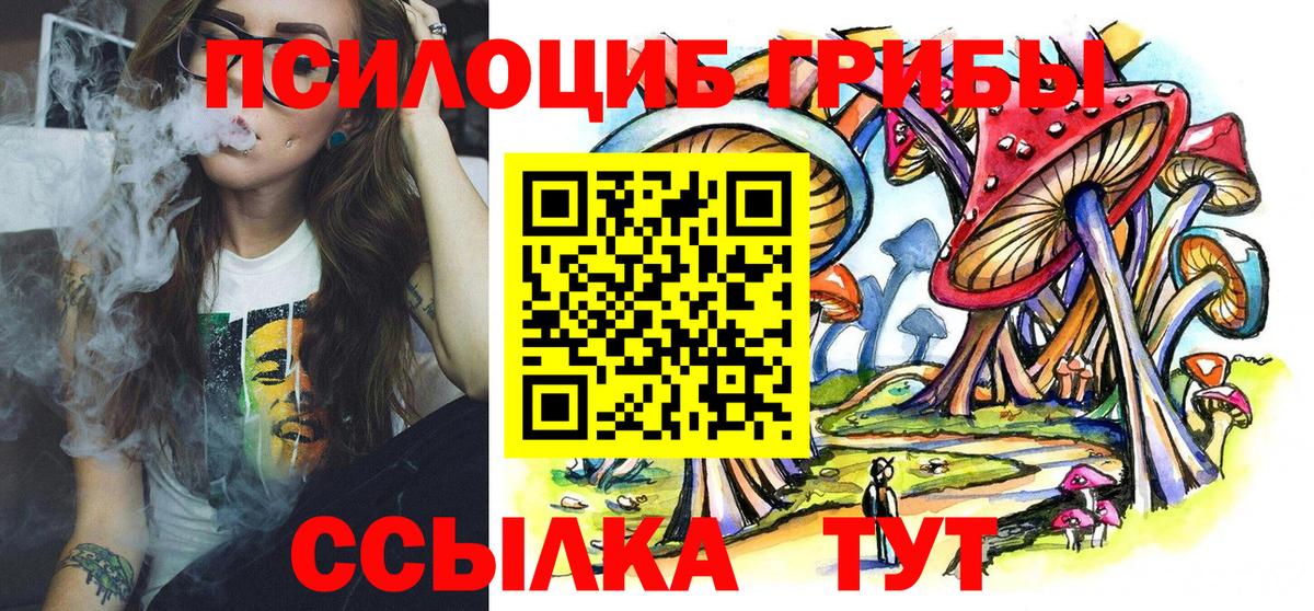 продажа наркотиков  Вход с VPN  Чехов  Галлюциногенные грибы Cubensis 