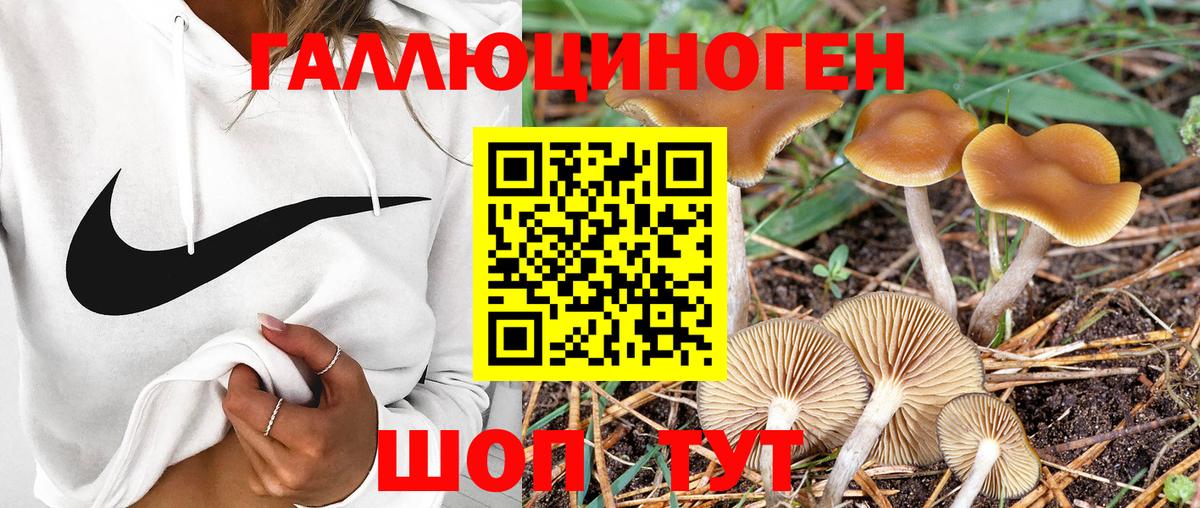 Псилоцибиновые грибы MAGIC MUSHROOMS Чехов